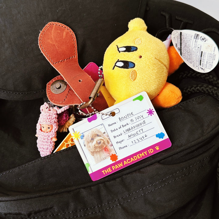 Paw Academy Photo Keychain