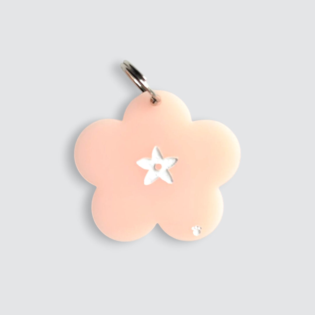 Sakura Charm
