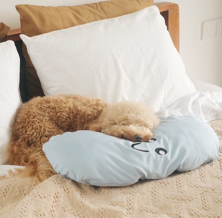 Jelly Bean (Teal) Pet Bed