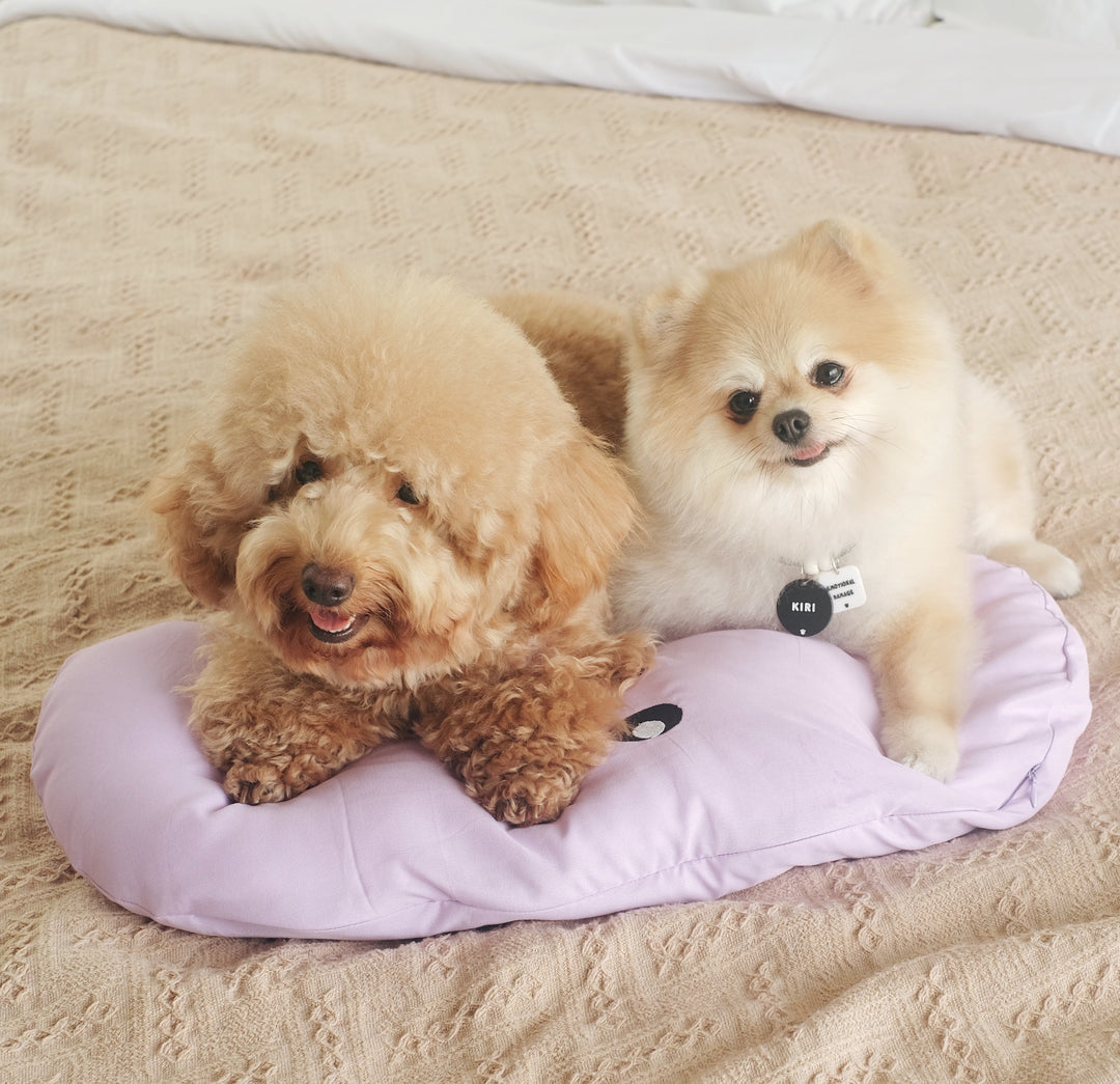 Jelly Bean (Yellow) Pet Bed
