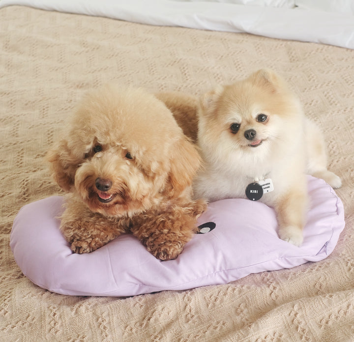 Jelly Bean (Yellow) Pet Bed