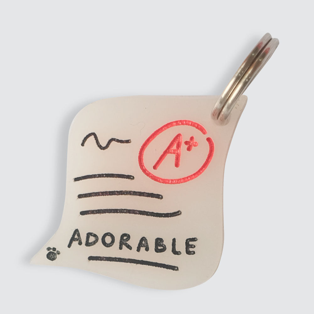 Adorable A+ Charm