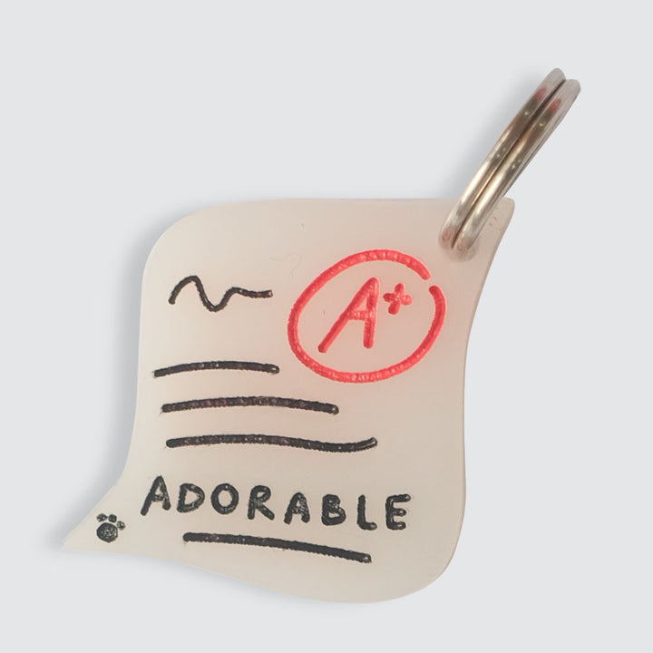 Adorable A+ Charm