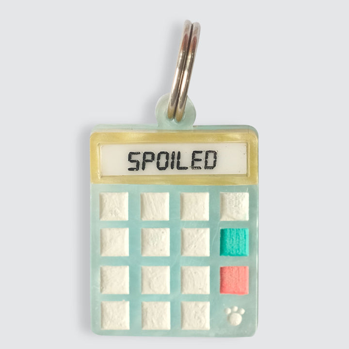 Spoiled Calculator Charm
