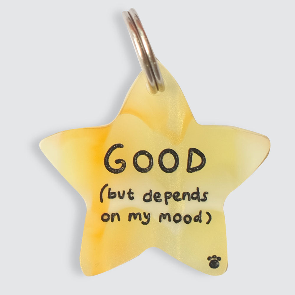 Gold Star (Depends on My Mood) Charm