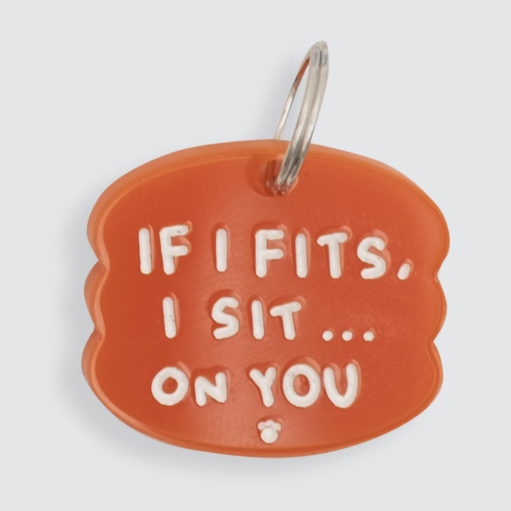 If I Fits, I Sit On You Charm