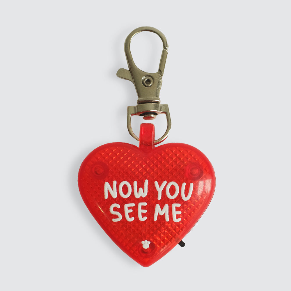 Now You See Me - LED Light Charm