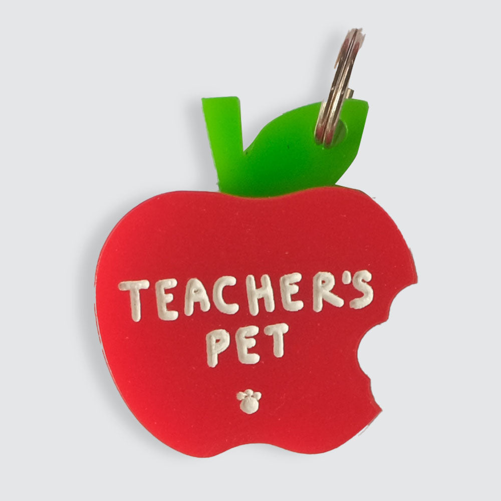 Teacher’s Pet Charm
