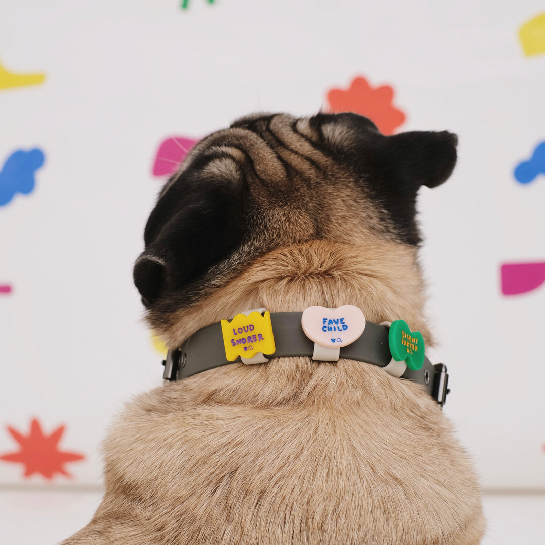 Pugo I Am Collar Charm