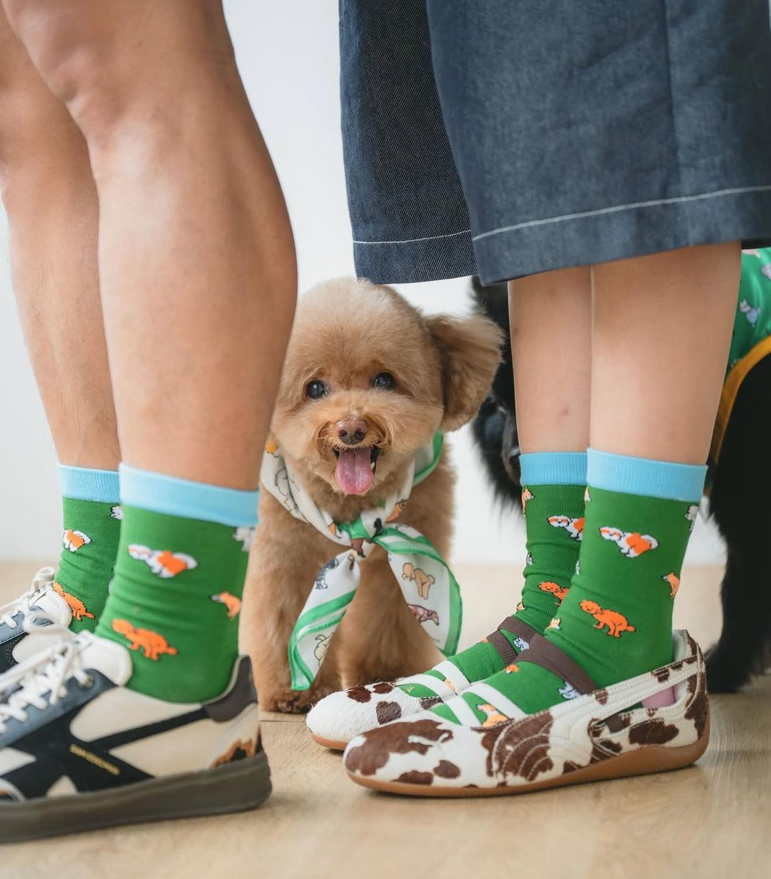 Socks & Shoe Accessories