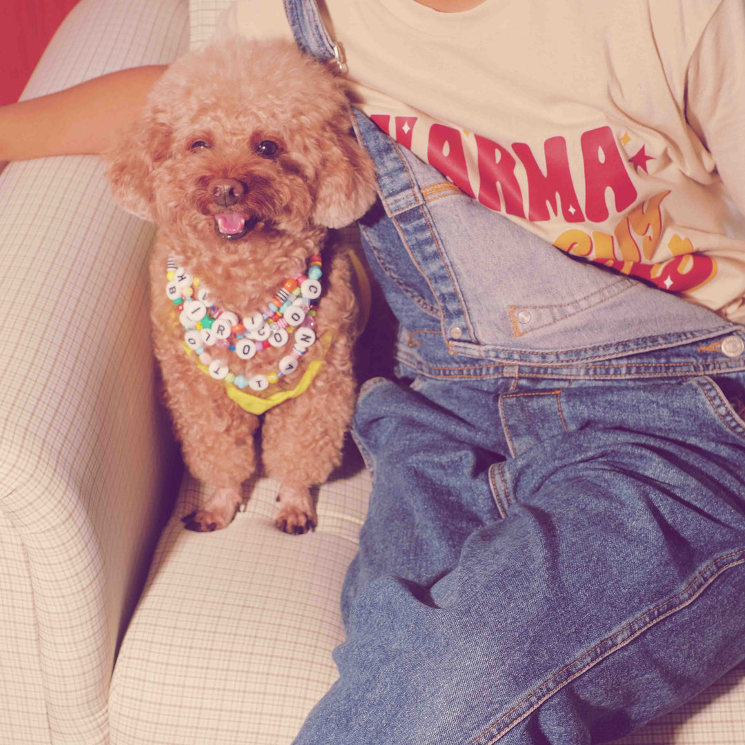 Necklace & Collar