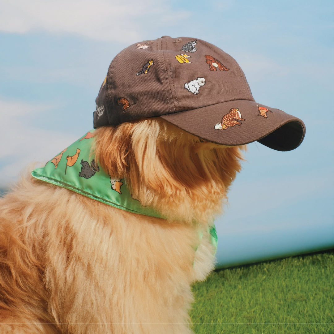 Cap