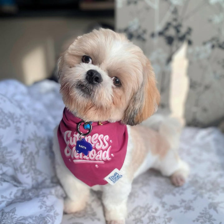 Amoeba 1 Customised Tag