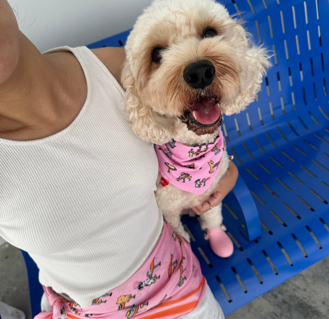 Hawker Centre Bundle - Dog Bandana + Human Scarf
