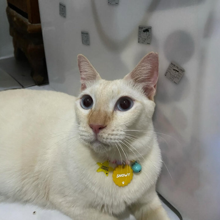 Bon Yellow Customised Tag