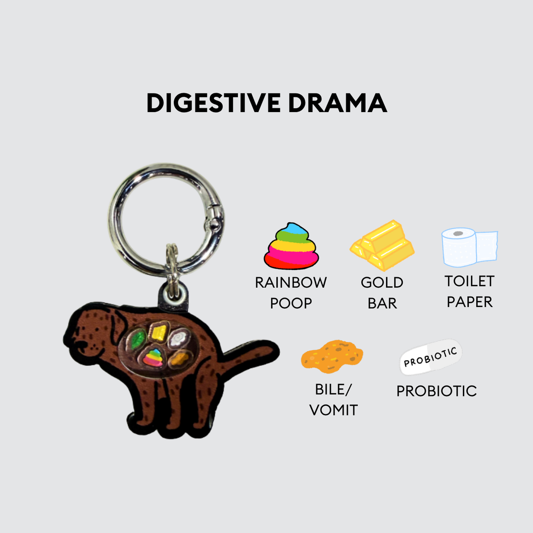 Brown Labrador Dog Pooping Shaker Charm