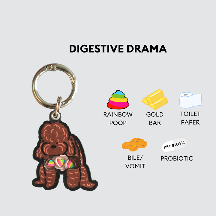 Brown Poodle Dog Pooping Shaker Charm