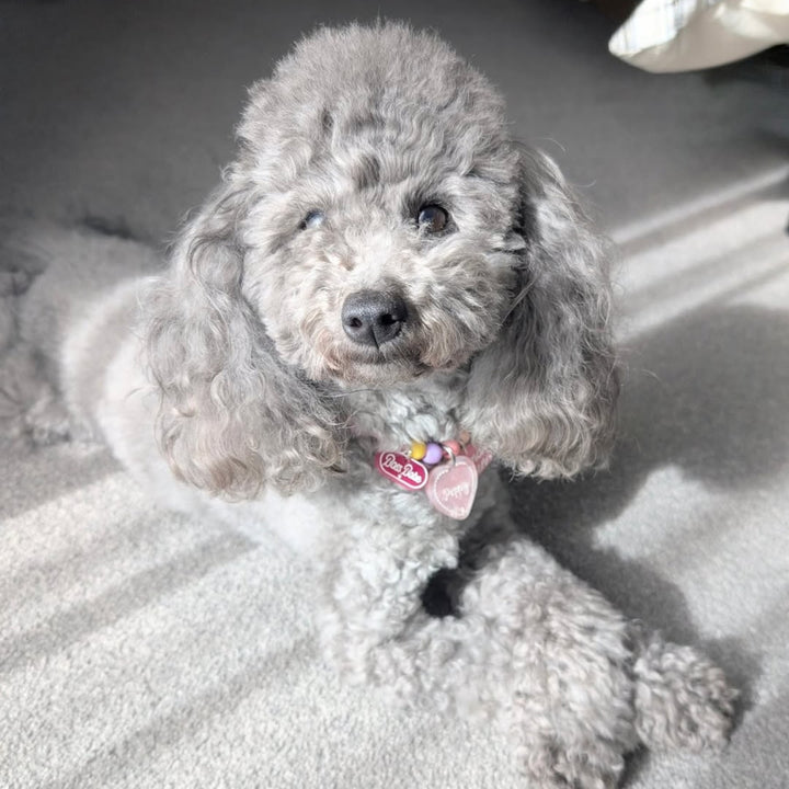 Candy Heart Customised Tag