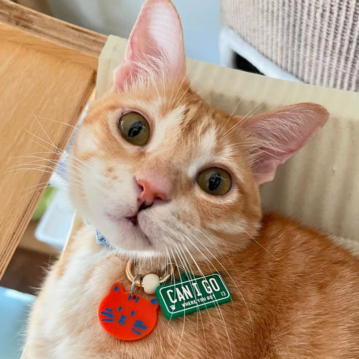 Can I Go Where You Go? Charm