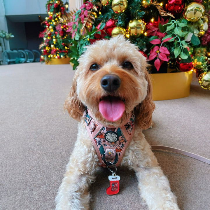 Christmas Socks Customised Tag