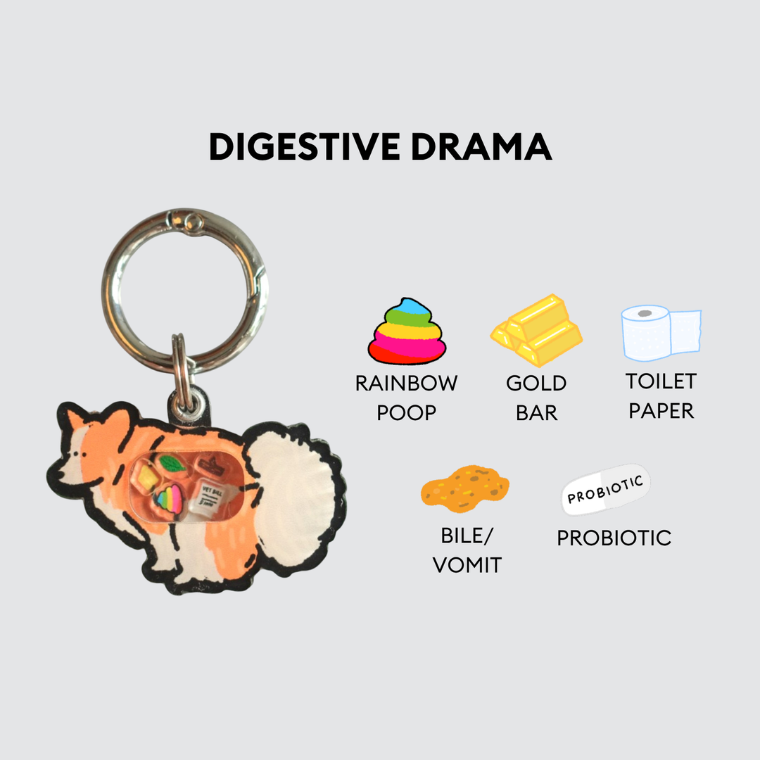 Corgi Dog Pooping Shaker Charm