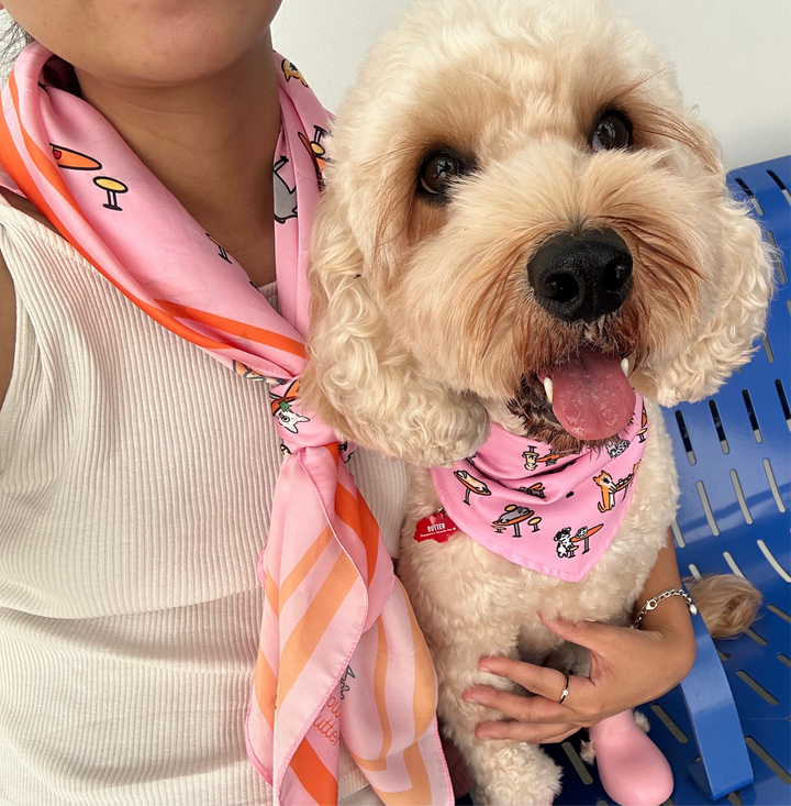 Hawker Centre Bundle - Dog Bandana + Human Scarf