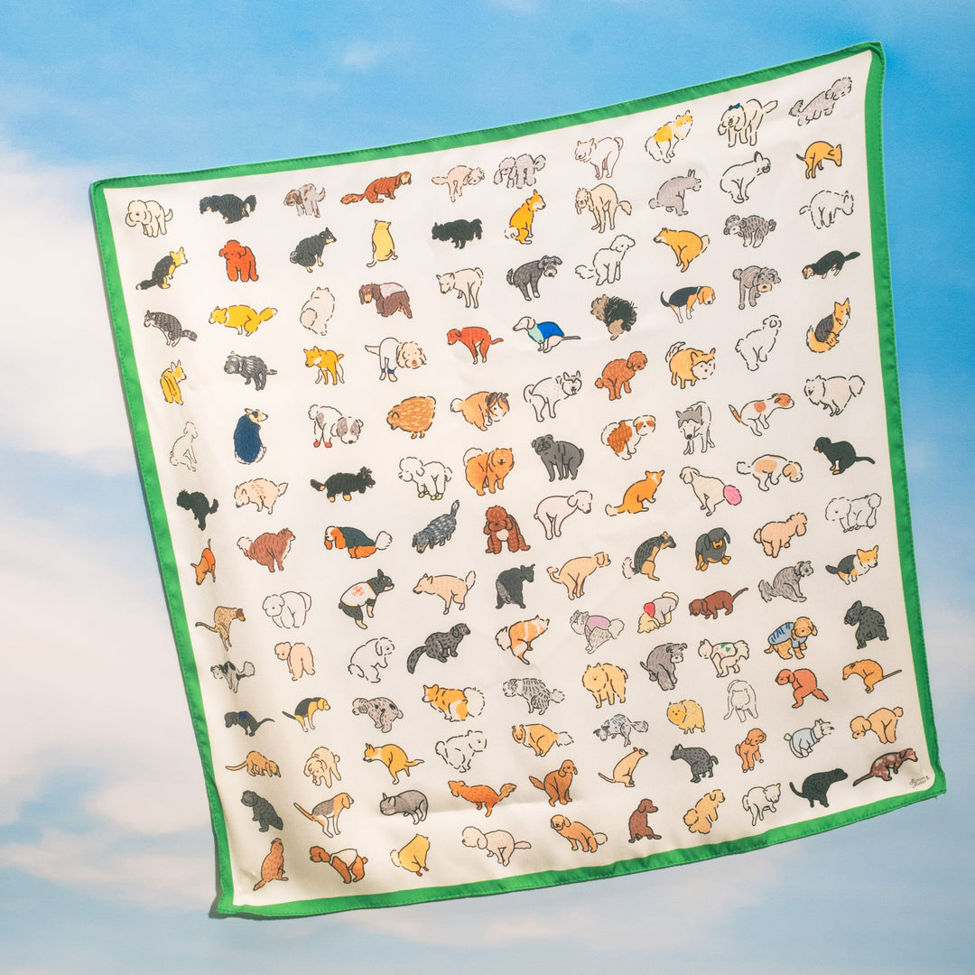 [PREORDER] Caught in the Act Scarf
