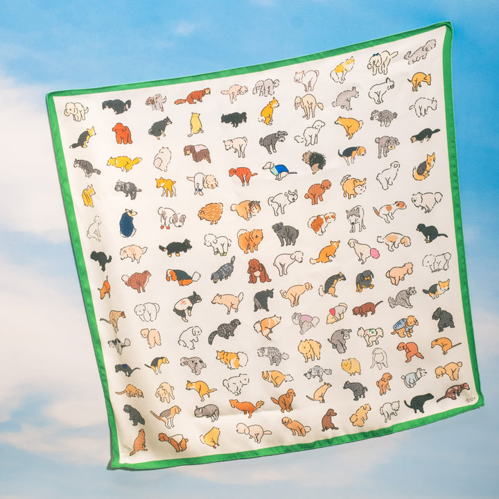 [PREORDER] Caught in the Act Scarf