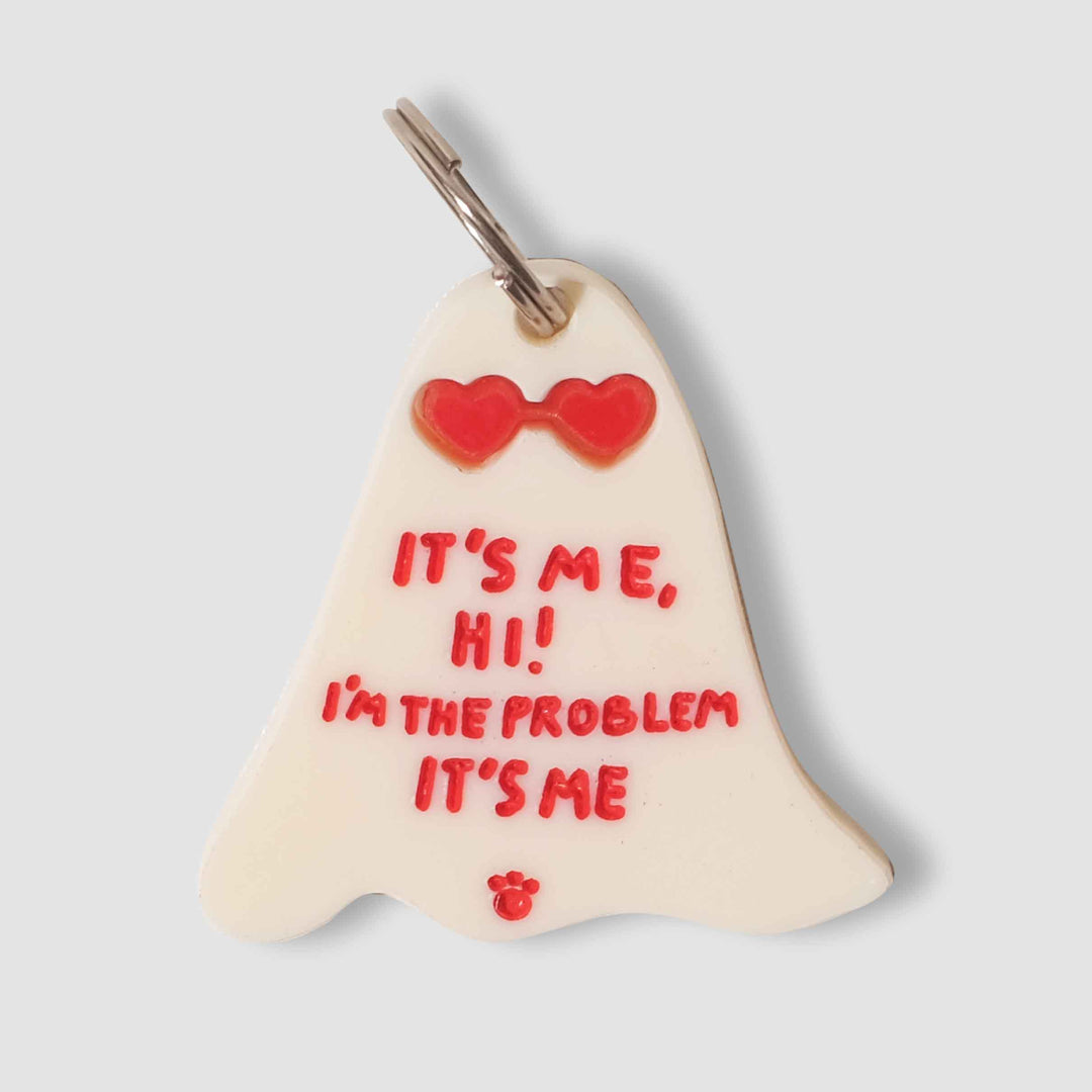 It's Me, Hi! I'm the Problem It's Me Charm