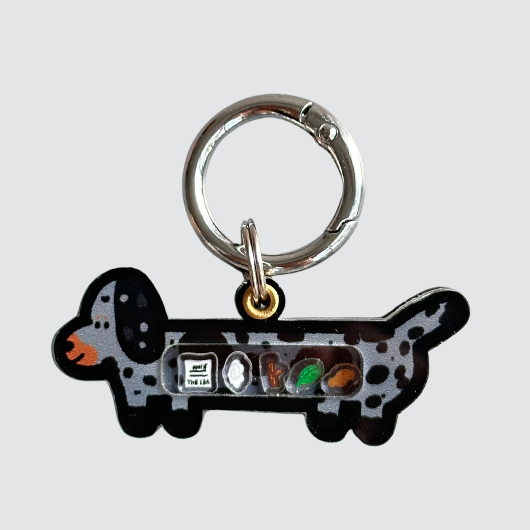 Dapple Black and Tan Dachshund Shaker Charm
