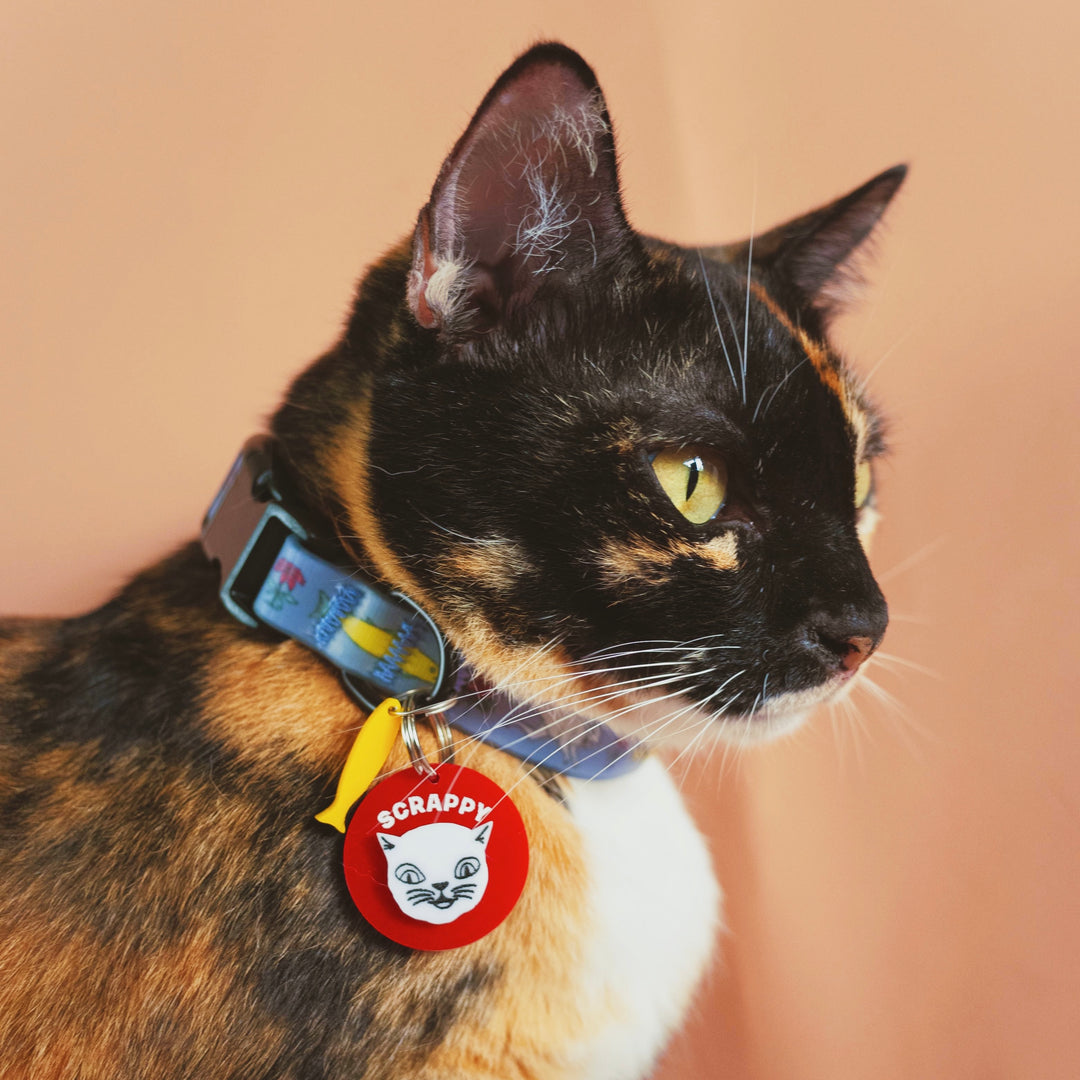 The Ritual Cat Collar