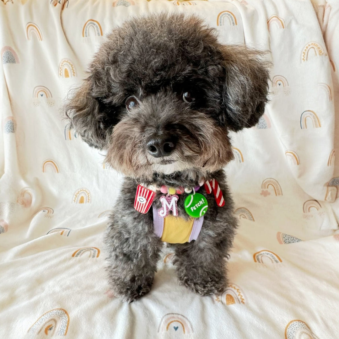 Fetch Tennis Ball Charm