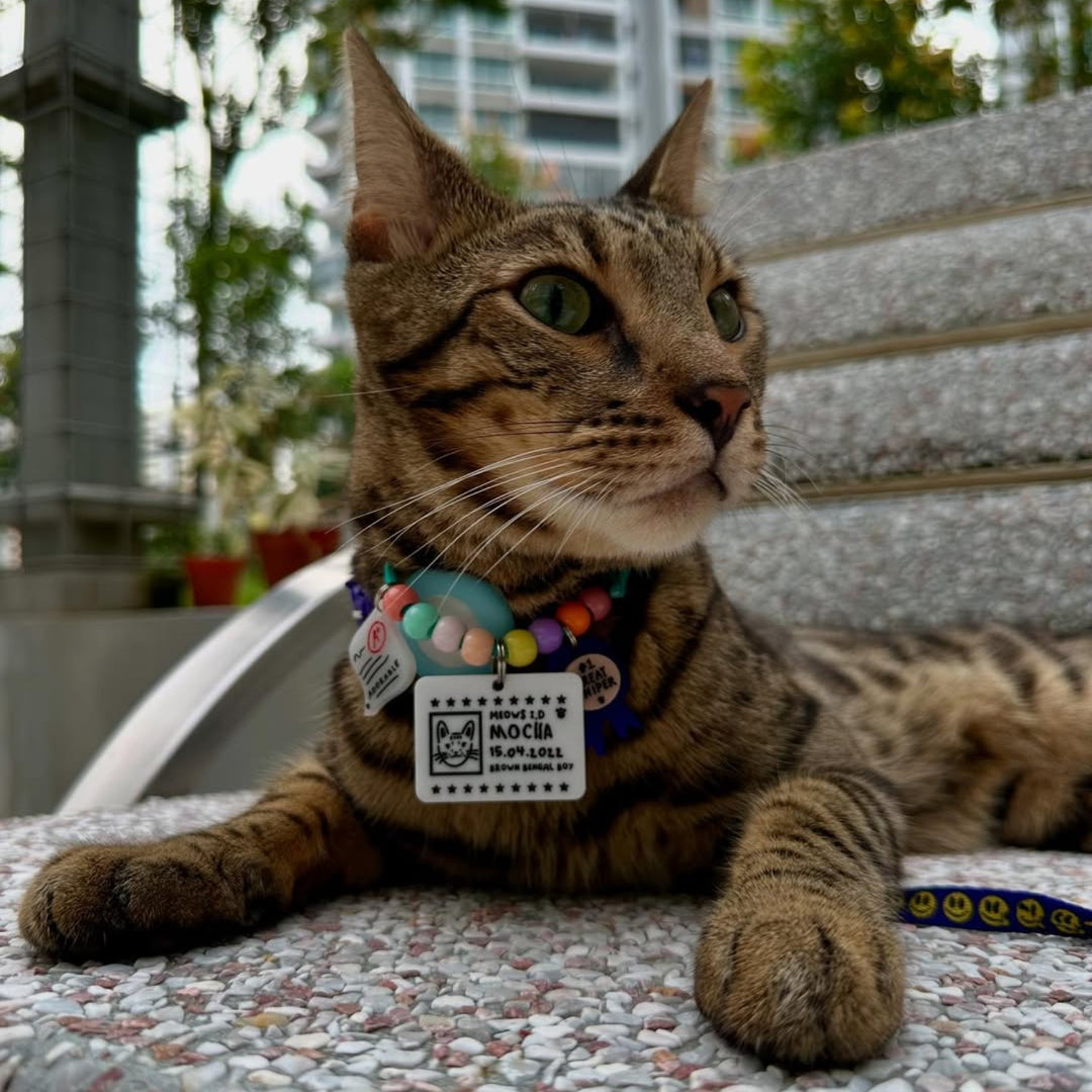 Pets ID Doodle Customised Portrait Tag