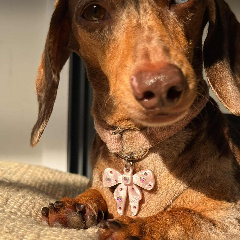 Coquette Rhinestone Bow Tag