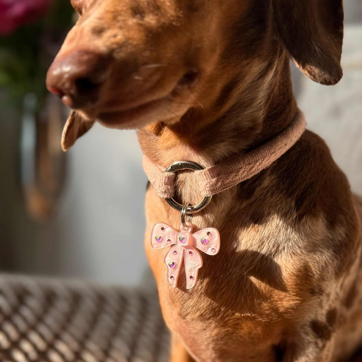 Coquette Rhinestone Bow Tag