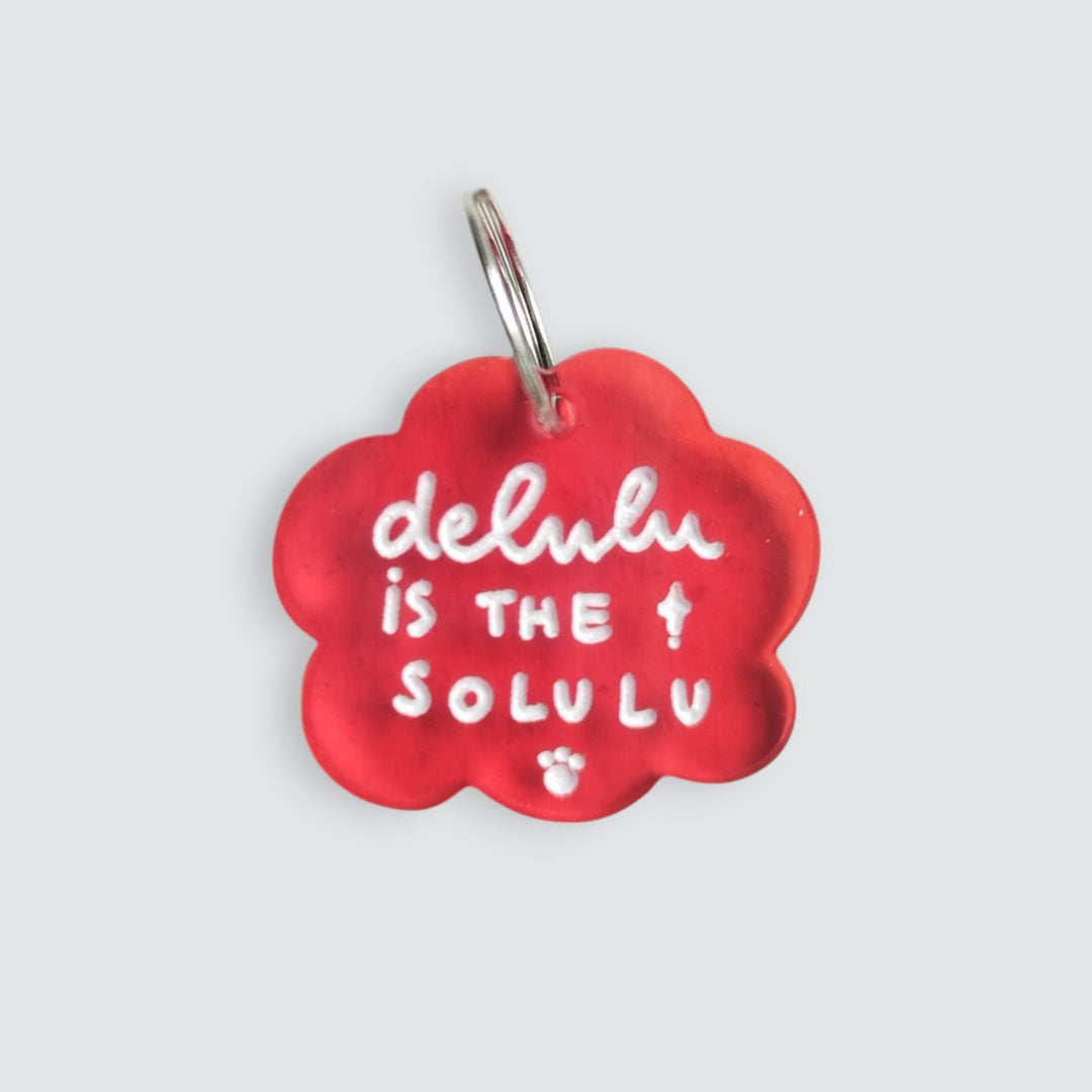 Delulu is the Solulu Charm