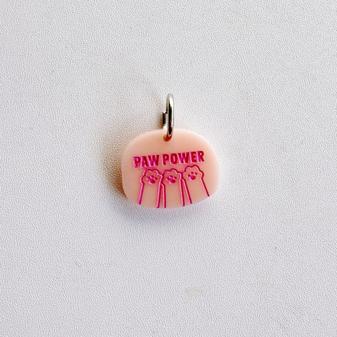 Paw Power Charm