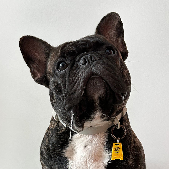 Caution Drool Zone Charm