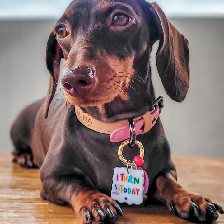 I Turn __ Today Charm