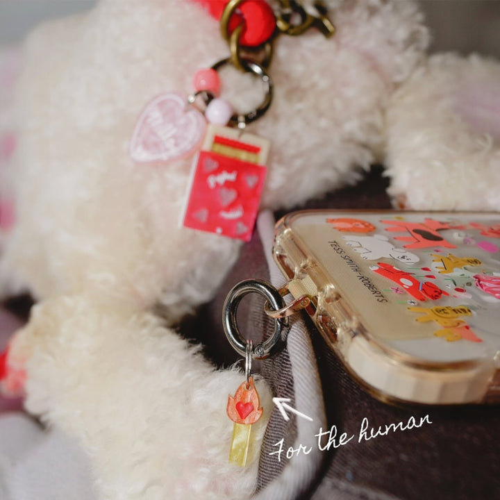 Perfect Match Charm Set