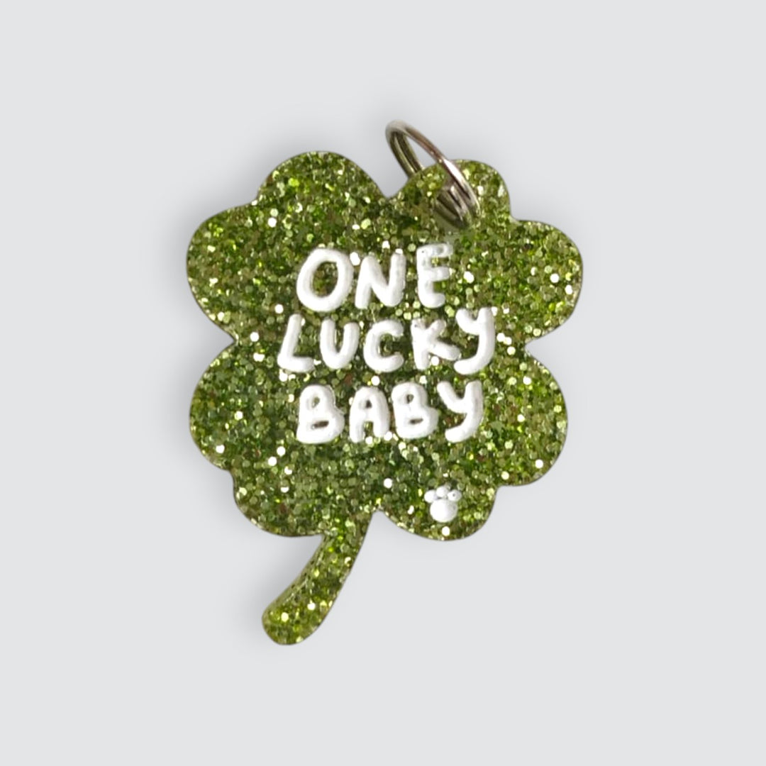 One Lucky Baby Charm