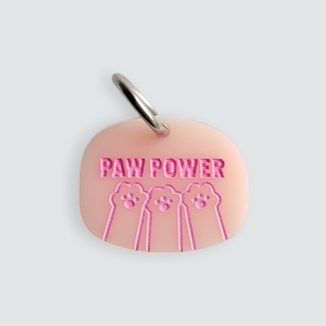 Paw Power Charm