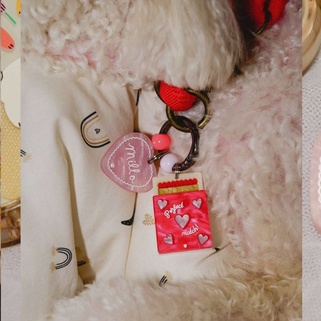 Perfect Match Charm Set