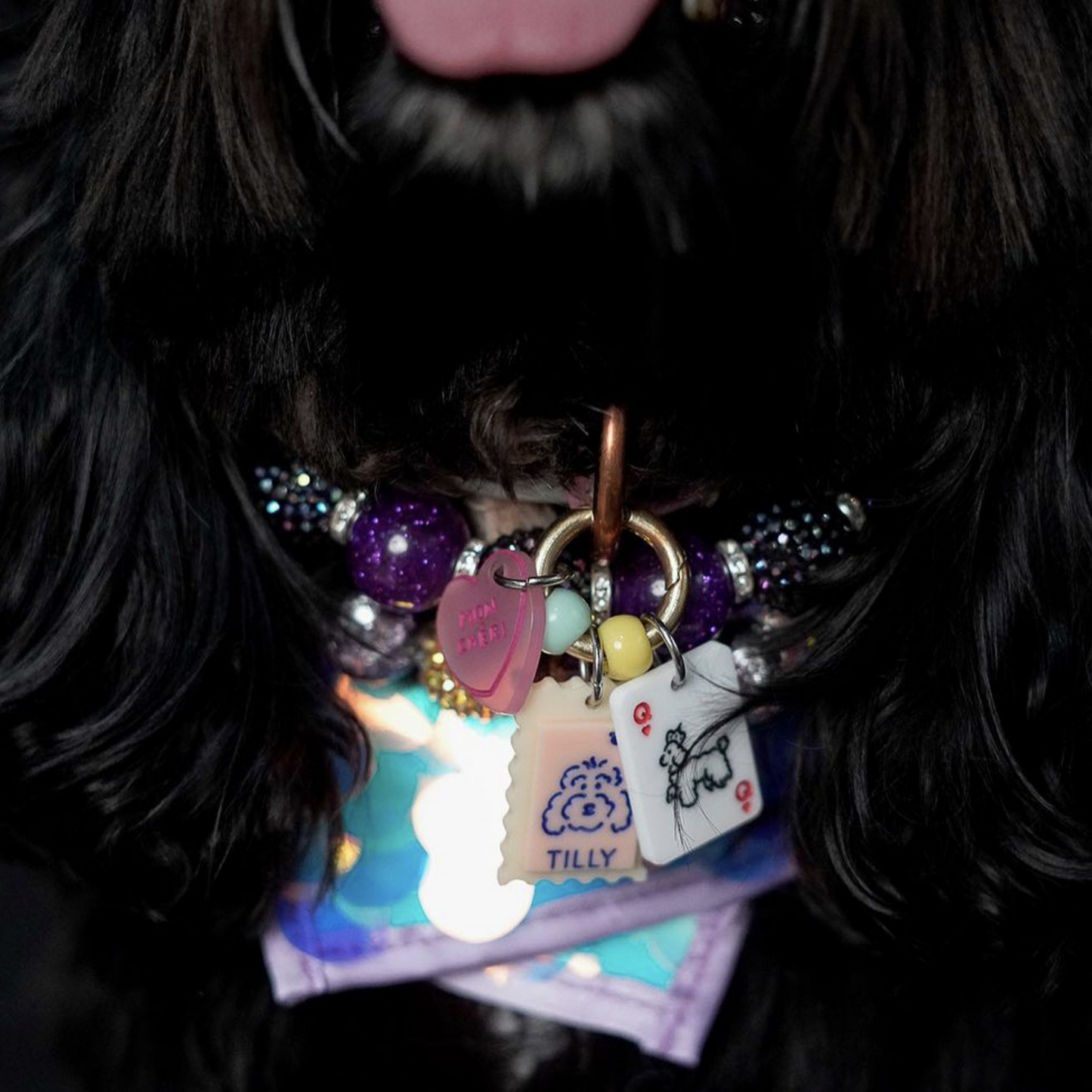 J'ADORE | Personalised pet tag (with name)
