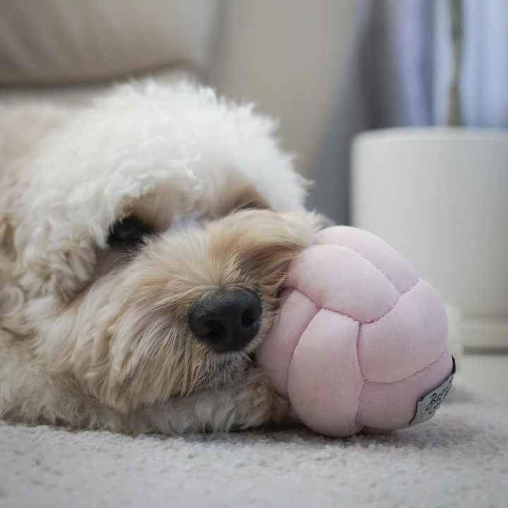 Chewy Ball