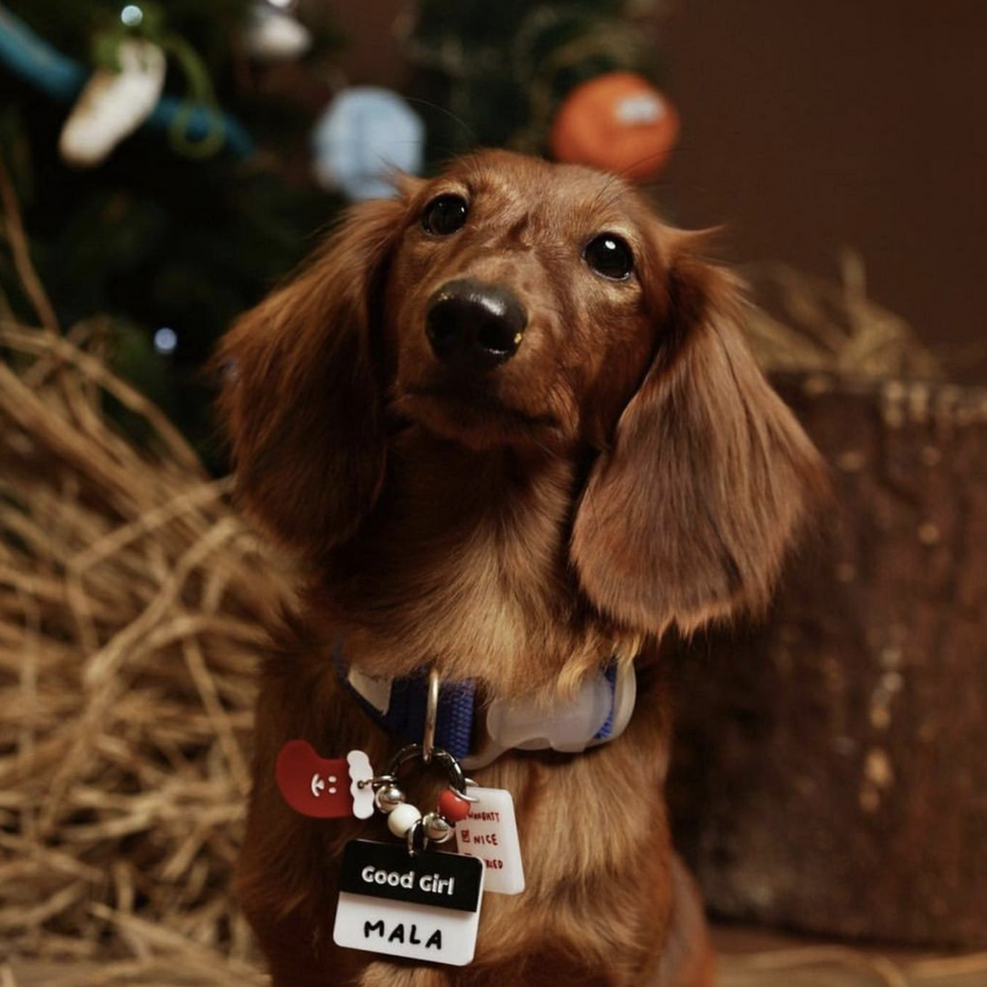 Matte Black Good Boy / Good Girl Customised Tag