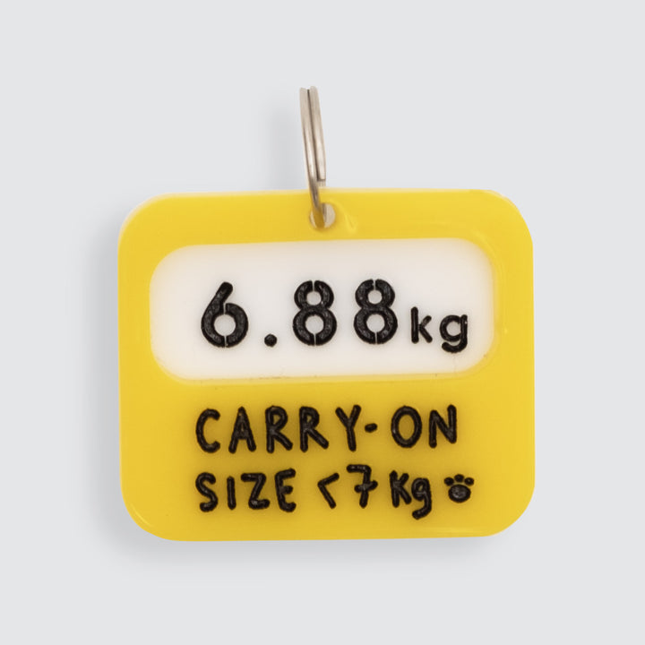 Carry On Size Charm