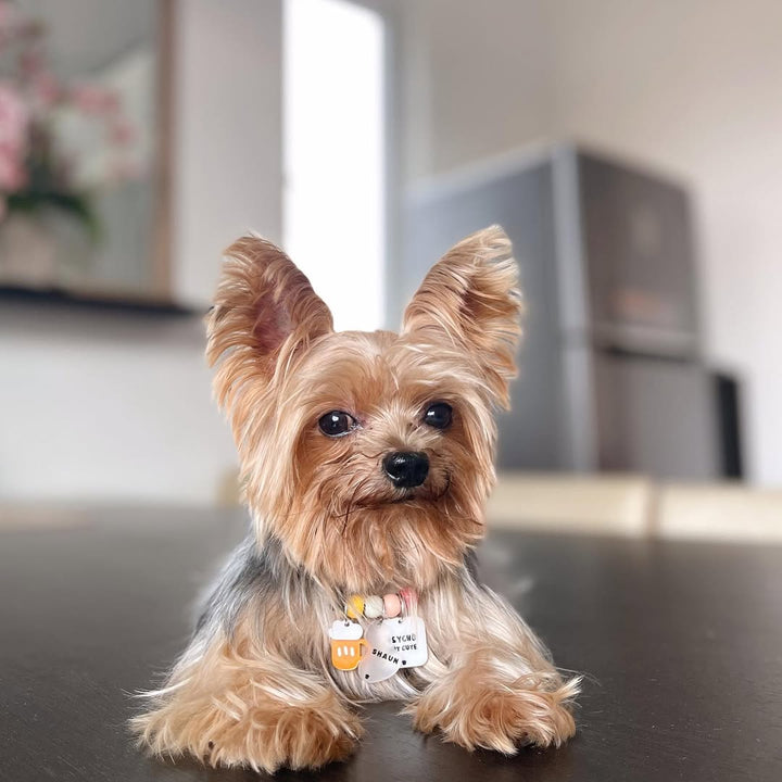 Psycho But Cute Charm