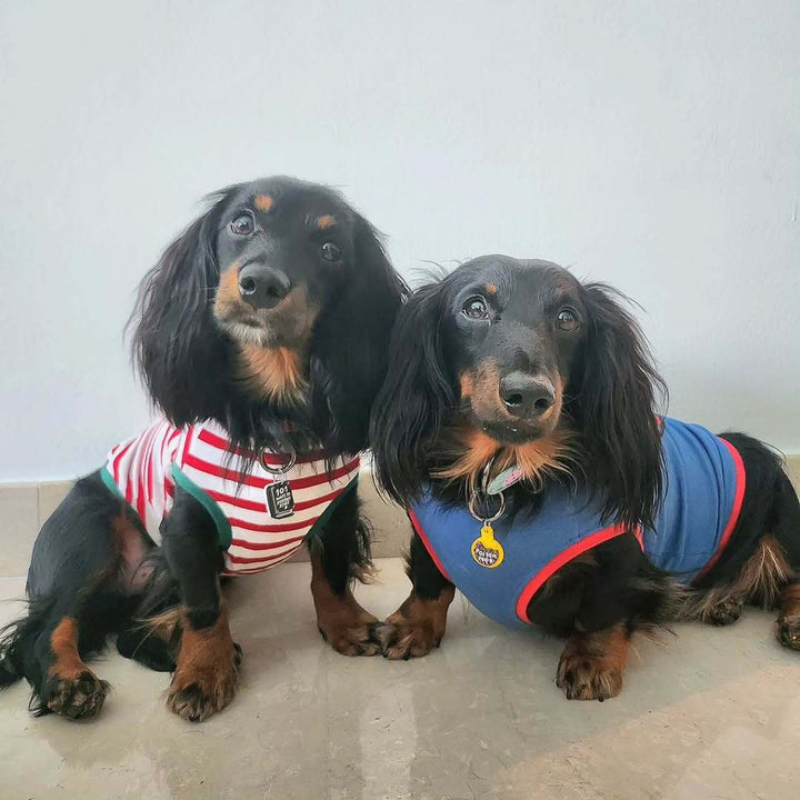 101 Ways to Destroy Stuff Charm