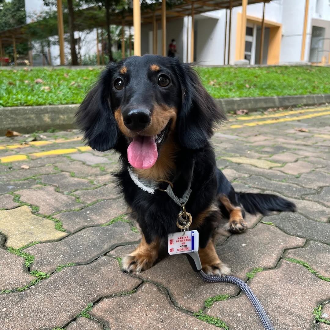 4D Ticket Customised Tag